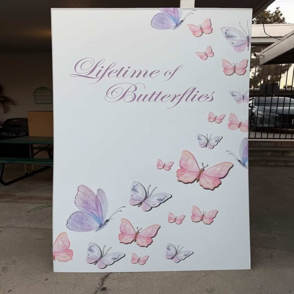 Lifetime of Butterflies Backdrop